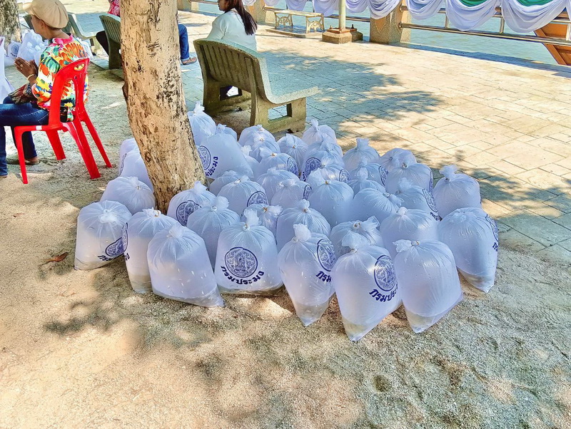 สนับสนุนพันธุ์ปลากินพืช เพื่อปล่อยลงสู่ทะเลสาบสงขลา ในประเพณีวันสงกรานต์ 2569..คลิก