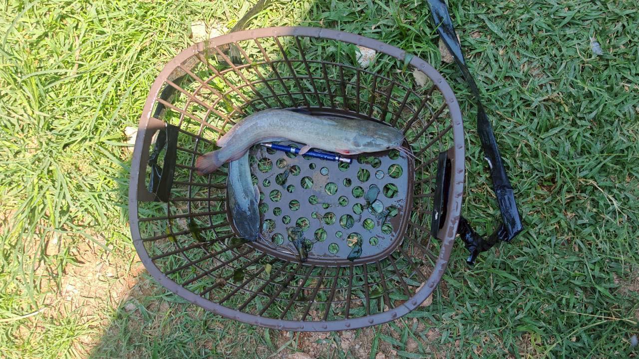  ลงพื้นที่ตรวจติดตามเกษตรกรที่เข้าร่วม “โครงการส่งเสริมและพัฒนาอาชีพเพื่อแก้ไขปัญหาที่ดินทำกินของเกษตรกร ประจำปีงบประมาณ พ.ศ. 2569” 