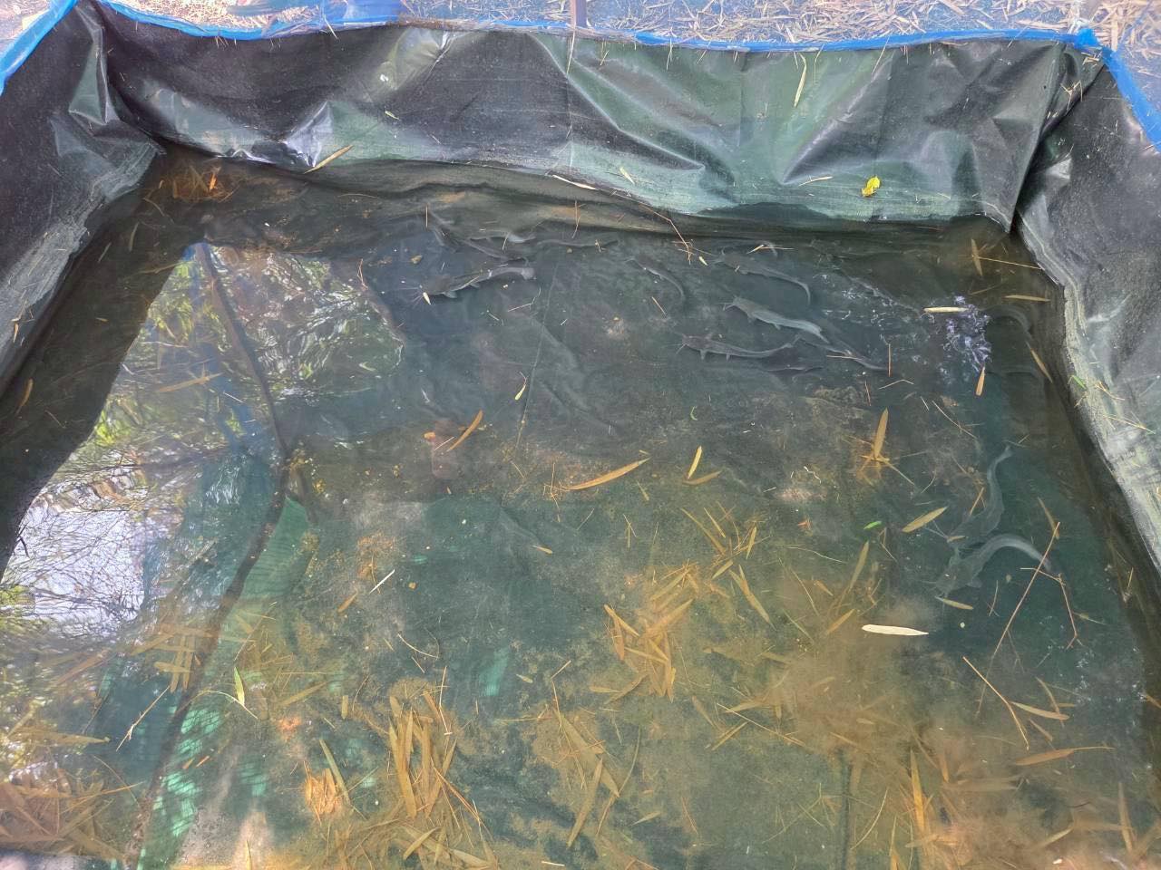 ลงพื้นที่ตรวจติดตามเกษตรกรที่เข้าร่วม “โครงการส่งเสริมและพัฒนาอาชีพเพื่อแก้ไขปัญหาที่ดินทำกินของเกษตรกร ประจำปีงบประมาณ พ.ศ. 2569”..คลิก