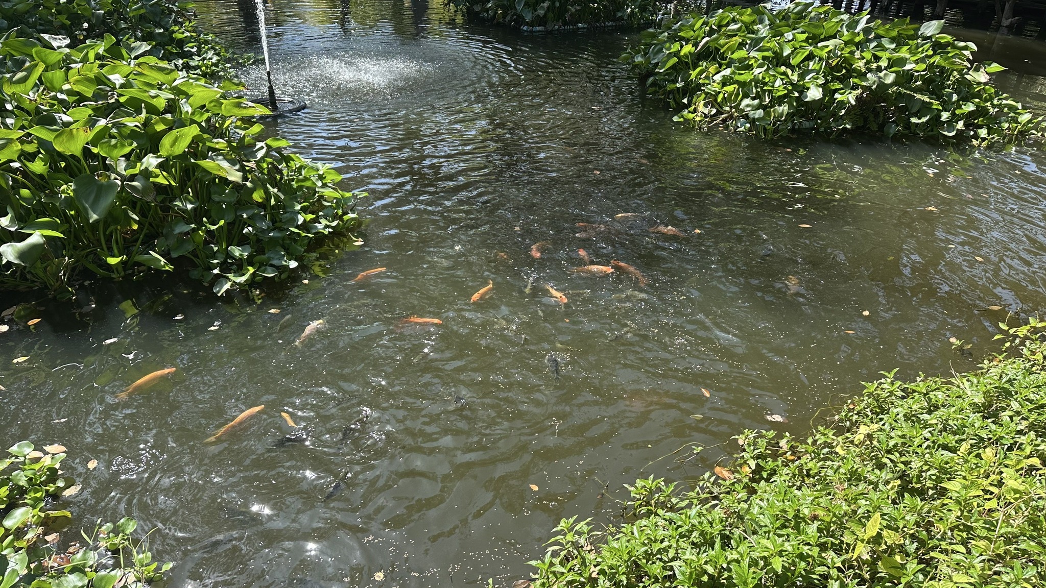 ลงพื้นที่ตรวจเยี่ยมให้คำแนะนำและจัดทําแผนการพัฒนาแปลงเรียนรู้ศูนย์เรียนรู์การเพิ่มประสิทธิภาพการผลิตสินค้าเกษตร (ศพก.) หลัก