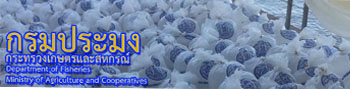 กรมประมง..คลิก