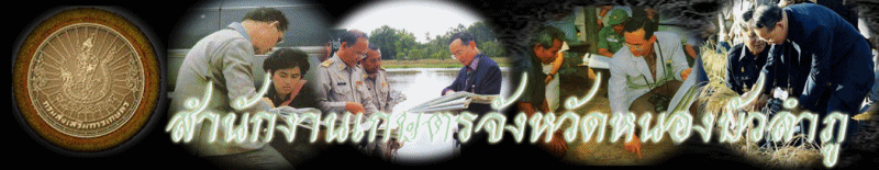 สำนักงานเกษตรและสหกรณ์จังหวัดนองบัวลำภู..คลิก