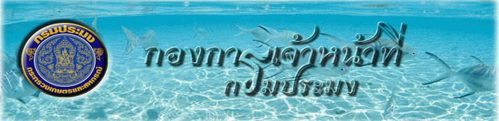 กองการเจ้าหน้าที่..คลิก