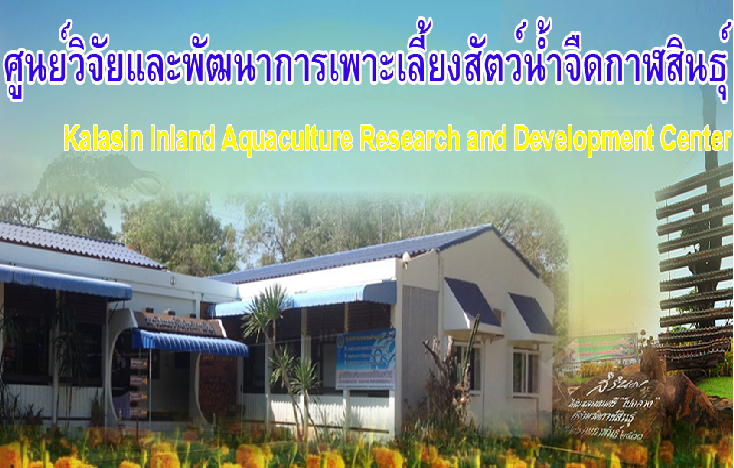 ศูนย์วิจัยและพัฒนาการเพาะเลี้ยงสัตว์น้ำจืดกาฬสินธุ์..คลิก