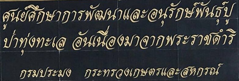 ศูนย์ศึกษาการพัฒนาและอนุรักษ์พันธุ์ปู ป่าทุ่งทะเล อันเนื่องมาจากพระราชดำริ จังหวัดกระบี่..คลิก