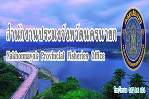 Facebook สำนักงานประมงนครนายก..คลิก