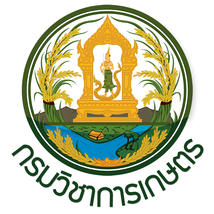 กรมวิชาการพัฒนา..คลิก