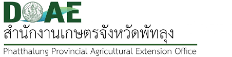 สำนักงานเกษตรจังหวัดพัทลุง..คลิก