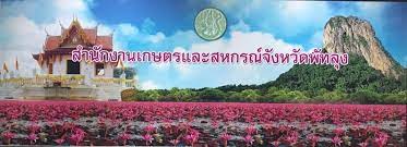 สำนักงานเกษตรและสหกรณ์ จังหวัดพัทลุง..คลิก
