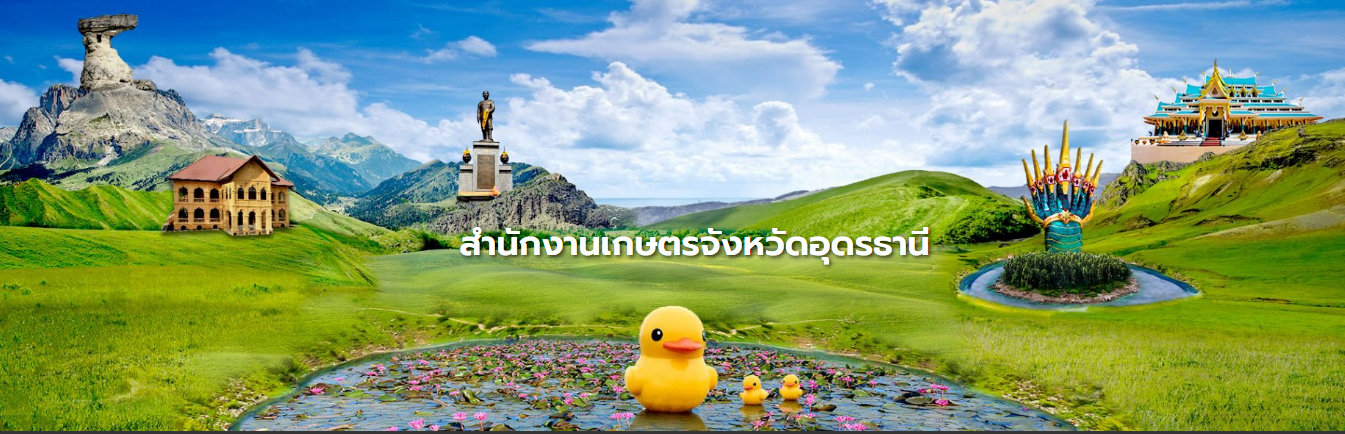 สำนักงานเกษตรจังหวัดอุดรธานี..คลิก