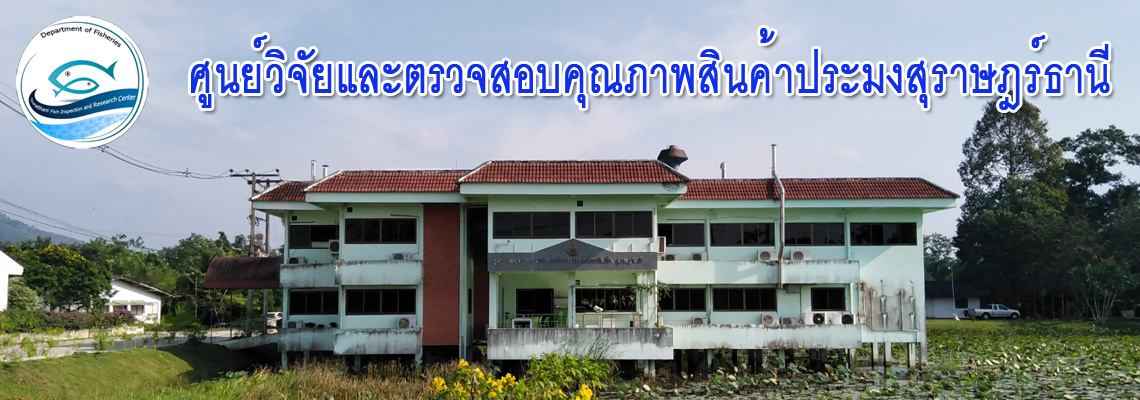 ศูนย์วิจัยและตรวจสอบคุณภาพสินค้าประมงสุราษฎร์ธานี..คลิก