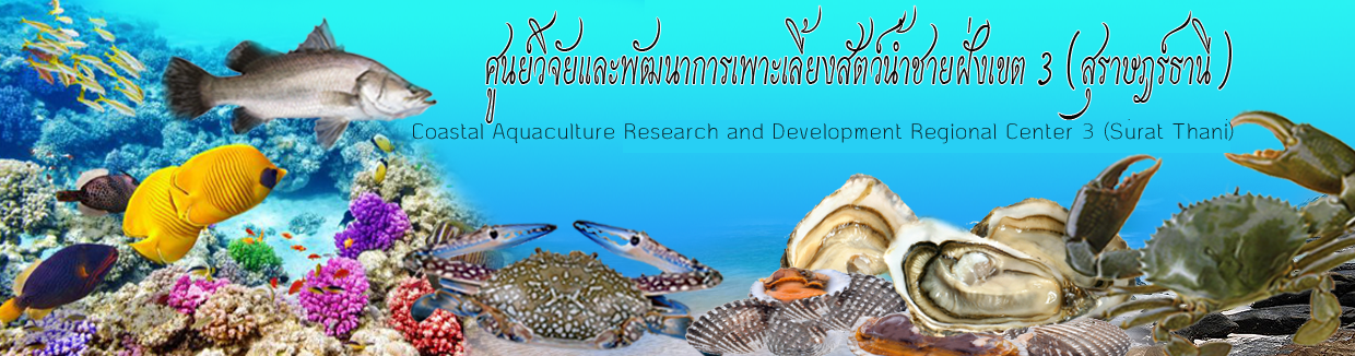 ศูนย์วิจัยและพัฒนาการเพาะเลี้ยงสัตว์น้ำชายฝั่งสุราษฎร์ธานี..คลิก