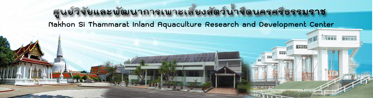 ศูนย์วิจัยและพัฒนาการเพาะเลี้ยงสัตว์น้ำจืดนครศรีธรรมราช..คลิก