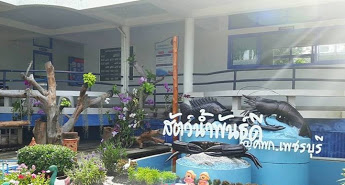 ศูนย์วิจัยและพัฒนาพันธุกรรมสัตว์น้ำเพชรบุรี..คลิก