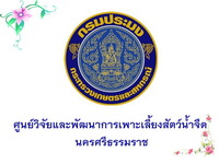 ศูนย์วิจัยและพัฒนาการเพาะเลี้ยงสัตว์น้ำจืดนครศรีธรรมราช..คลิก