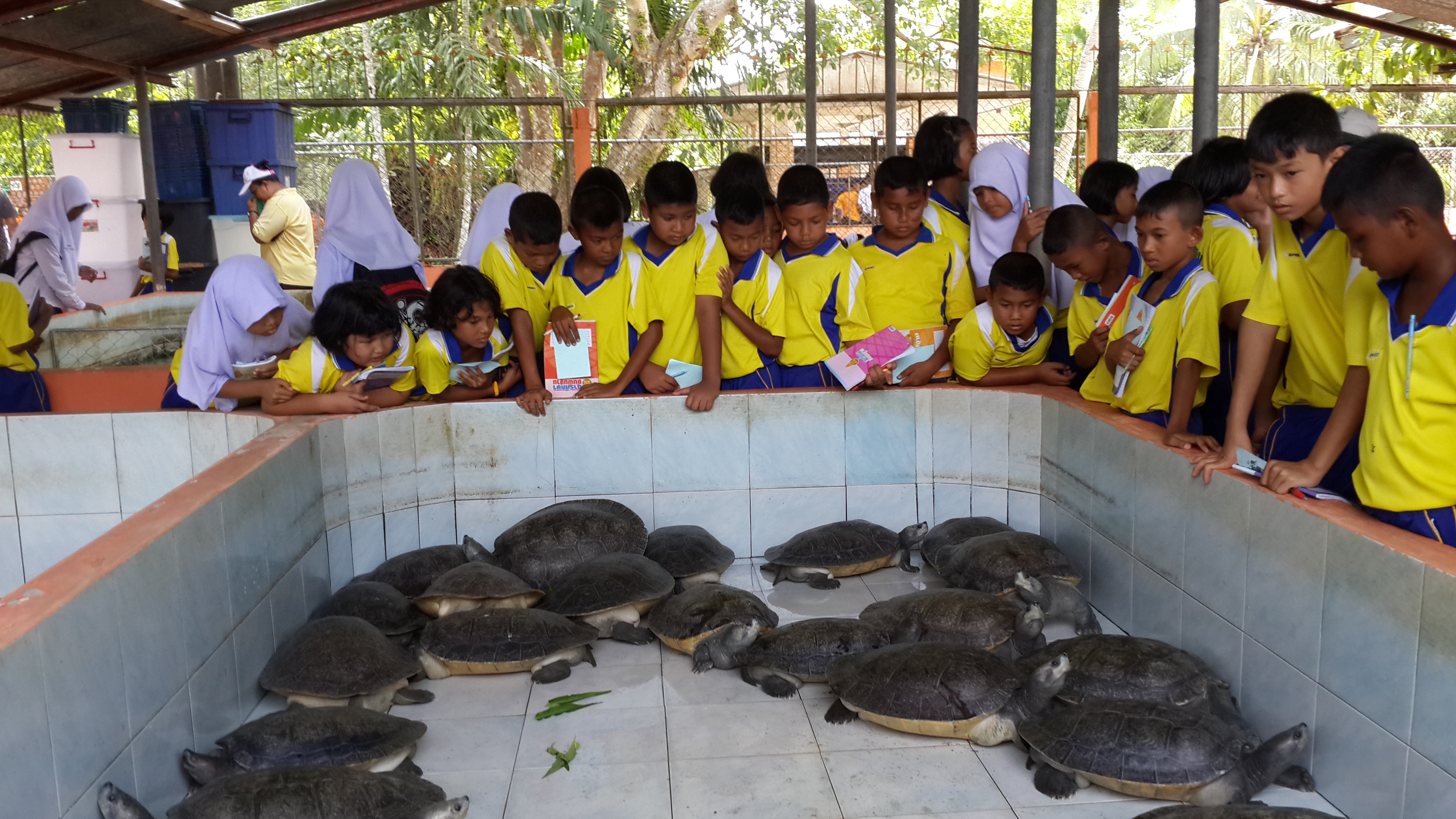 ศูนย์วิจัยและพัฒนาประมงน้ำจืดสตูล