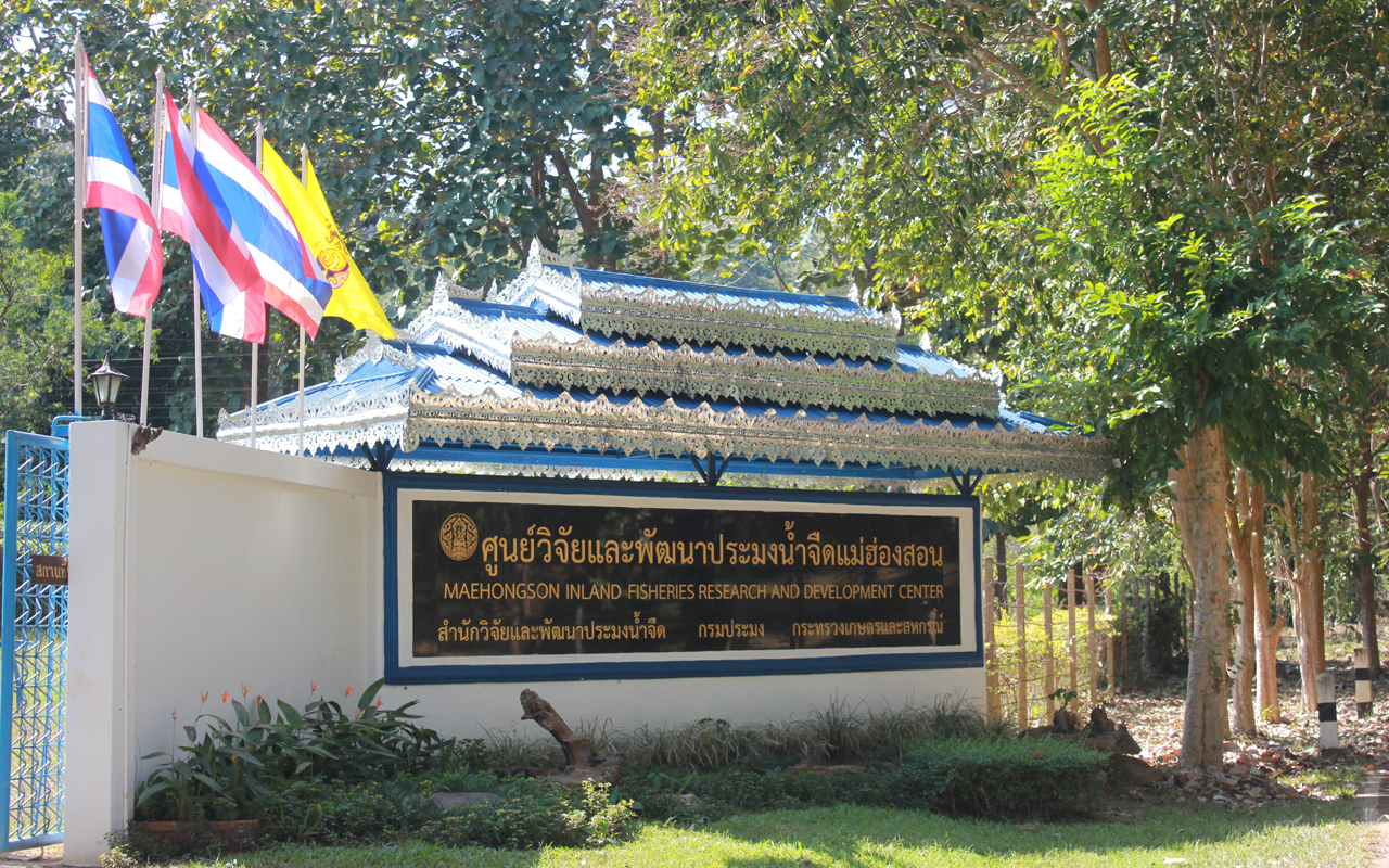 ศูนย์วิจัยและพัฒนาการเพาะเลี้ยงสัตว์น้ำจืดแม่ฮ่องสอน