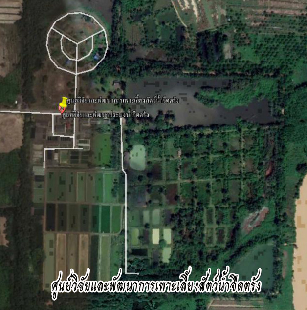 ศูนย์วิจัยและพัฒนาการเพาะเลี้ยงสัตว์น้ำจืดตรัง