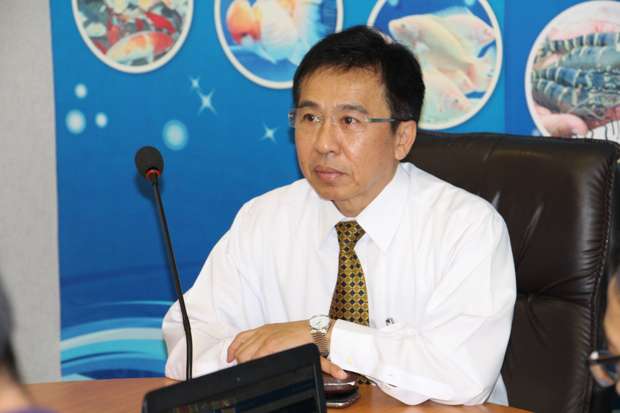 ประชุมconference ติดตามเกี่ยวก..ชมภาพ