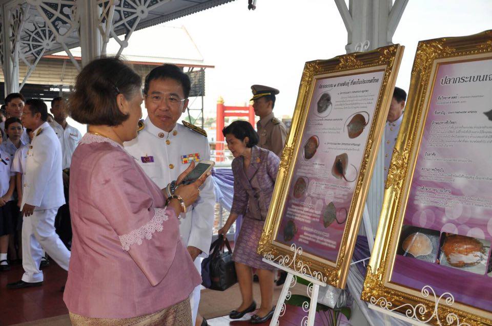 ทรงปล่อยพันธุ์ปลาเพื่อบำเพ็ญพร..ชมภาพ