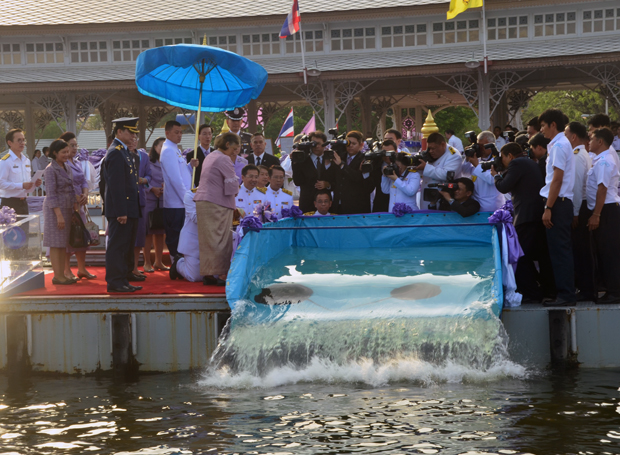 สมเด็จพระเทพรัตนราชสุดา ฯ เสด็..ชมภาพ
