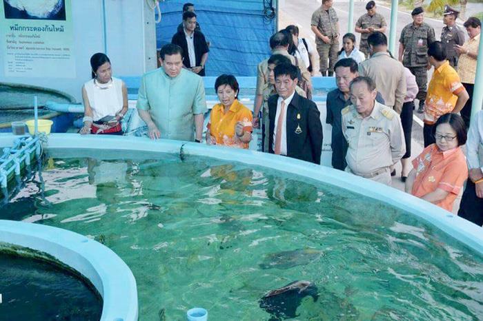 ลงพื้นที่ตรวจเยี่ยมโครงการฟาร์..ชมภาพ