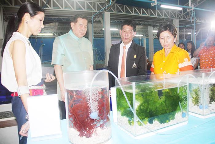 ลงพื้นที่ตรวจเยี่ยมโครงการฟาร์..ชมภาพ