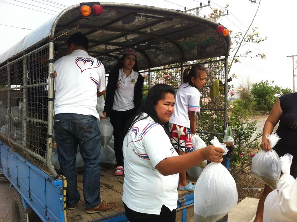 ปล่อยพันธุ์ปลานิล จำนวน 150,00..ชมภาพ