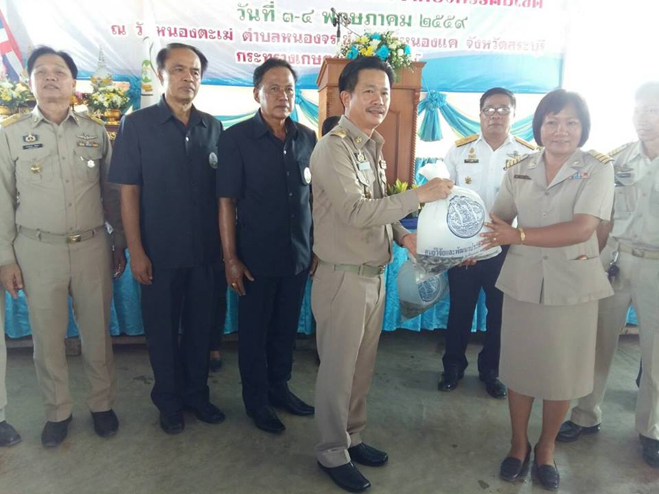 โครงการโครงการบำบัดทุกข์ บำรุง..ชมภาพ