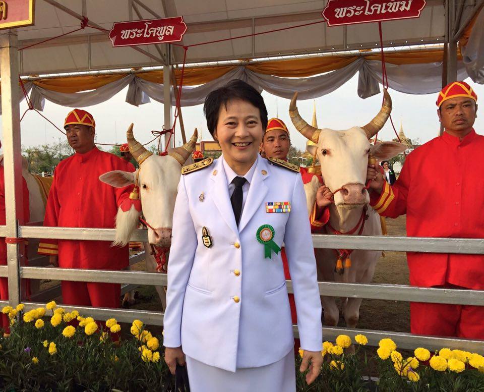 ร่วมงานพระราชพิธีจรดพระนังคัลแ..ชมภาพ