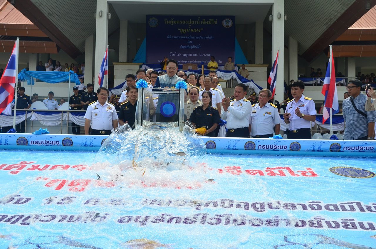 เริ่มแล้ว ฤดูน้ำแดง งดจับสัต..ชมภาพ
