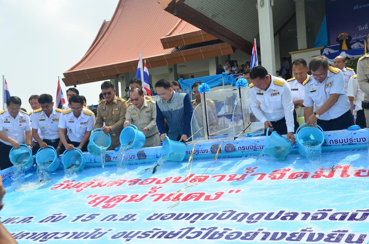 เริ่มแล้ว ฤดูน้ำแดง งดจับสัต..ชมภาพ