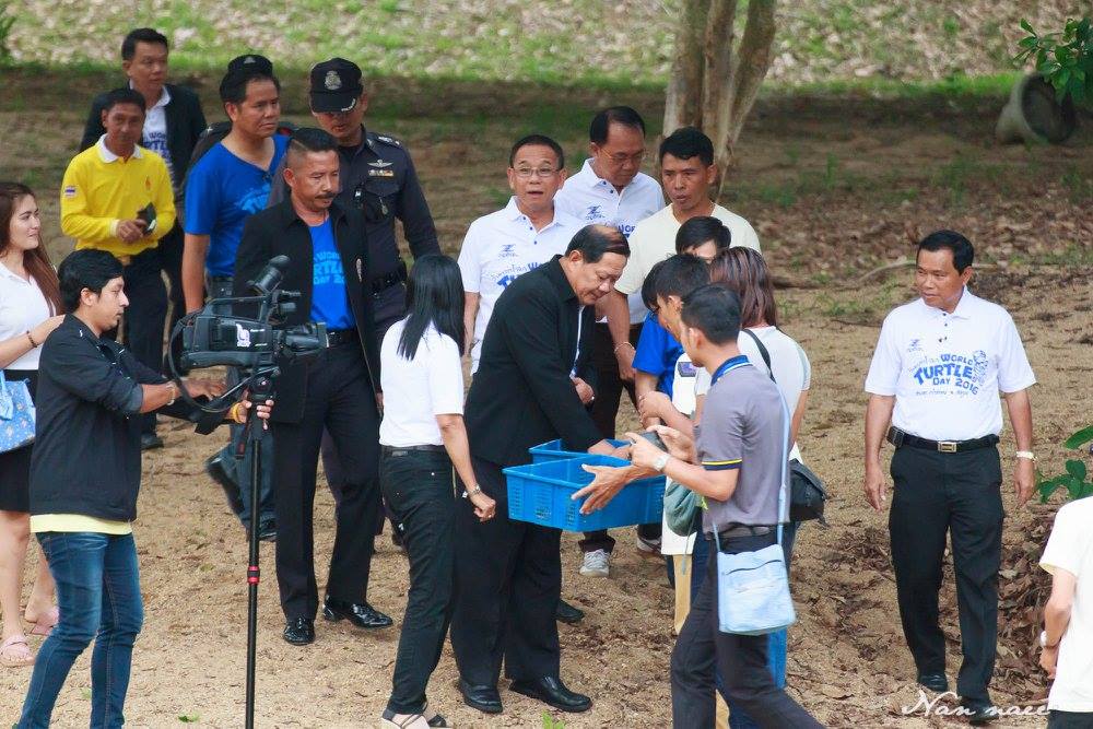 งานเทศกาลวันเต่าโลก ครั้งที่ 2..ชมภาพ
