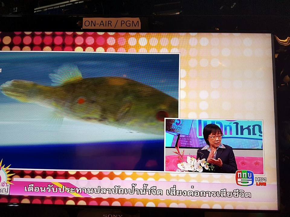 สัมภาษณ์รายการ 5 เช้าเม้าท์ใหญ..ชมภาพ
