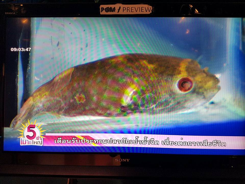 สัมภาษณ์รายการ 5 เช้าเม้าท์ใหญ..ชมภาพ