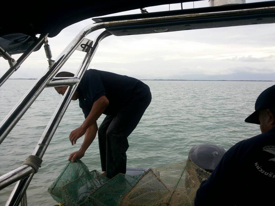 ออกปฎิบัติงานตรวจปรามปรามการทำ..ชมภาพ
