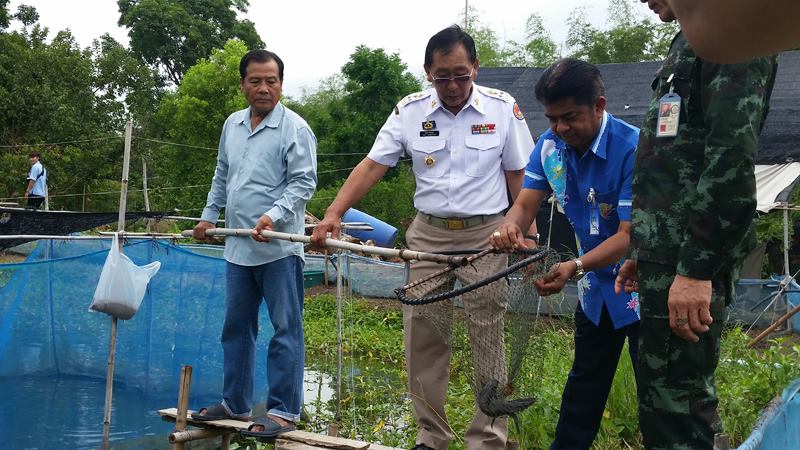 ลงพื้นที่ติดตามปัจจัยการผลิต จ..ชมภาพ