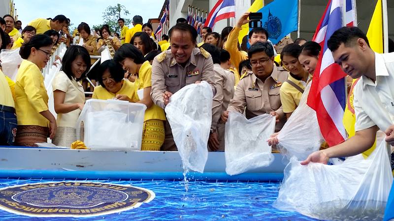 พิธีปล่อยพันธุ์ปลาถวายเป็นพระร..ชมภาพ