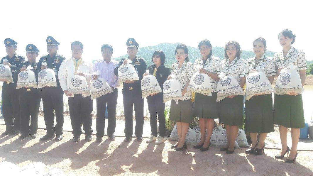 พิธีเปิดโครงการรณรงค์ ปลูกหญ้า..ชมภาพ