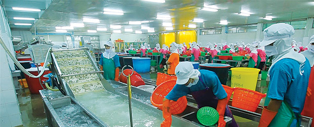 Development of good labour pra..ชมภาพ
