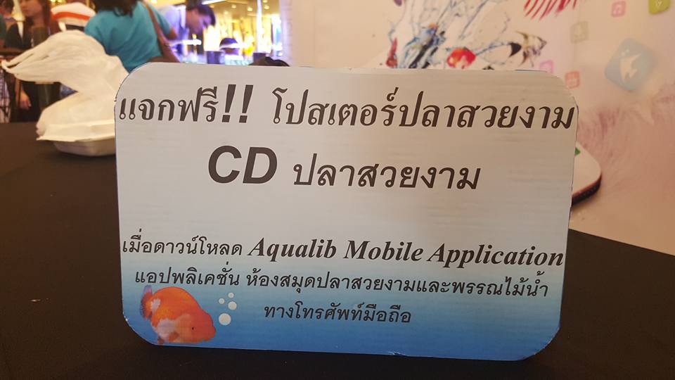 งานปลาสวยงามภาคเหนือ 4-7 สิงหา..ชมภาพ