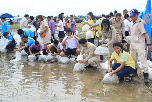  กิจกรรม การเพิ่มปริมาณสัตว์น้..ชมภาพ