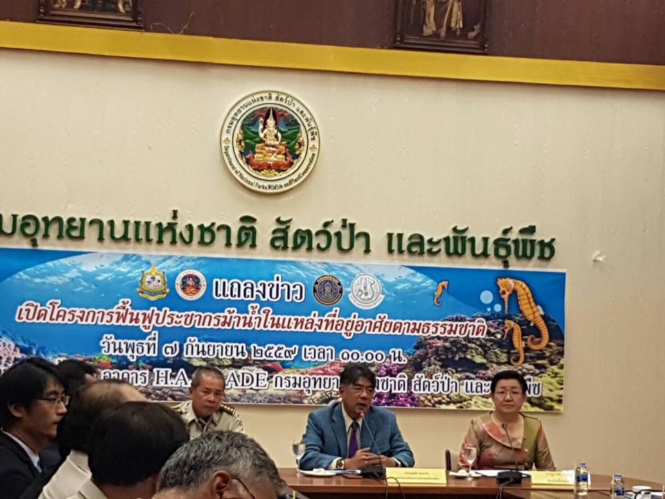 เปิดโครงการฟื้นฟูประชากรม้าน้ำ..ชมภาพ