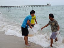 สถาบันวิจัยการเพาะเลี้ยงสัตว์น..ชมภาพ