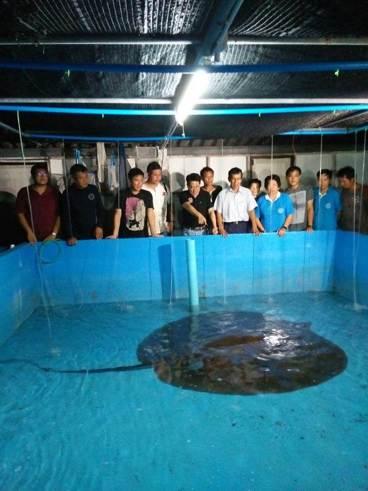 กรมประมงระดมนักวิชาการเร่งหาเห..ชมภาพ