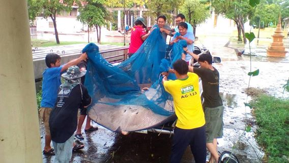 กรมประมงระดมนักวิชาการเร่งหาเห..ชมภาพ