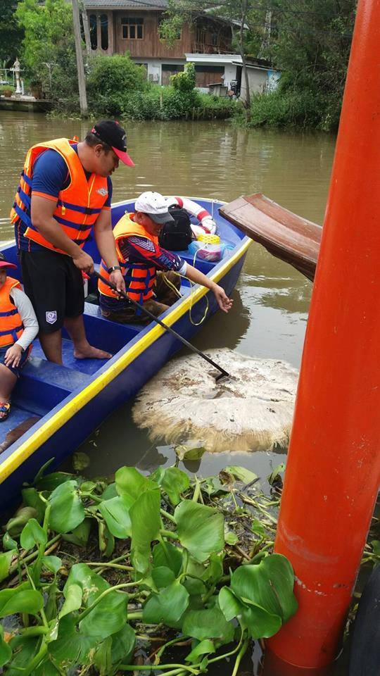 กรมประมงระดมนักวิชาการเร่งหาเห..ชมภาพ
