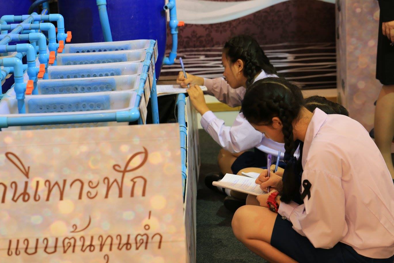 งาน ประมงรำลึก สำนึกในพระมหาก..ชมภาพ