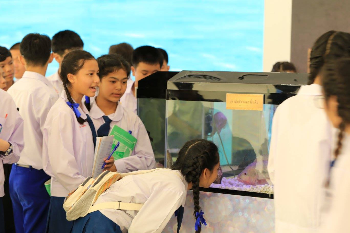 งาน ประมงรำลึก สำนึกในพระมหาก..ชมภาพ