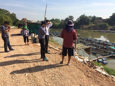 ลงพื้นที่เก็บข้อมูลปลากระชังตา..ชมภาพ